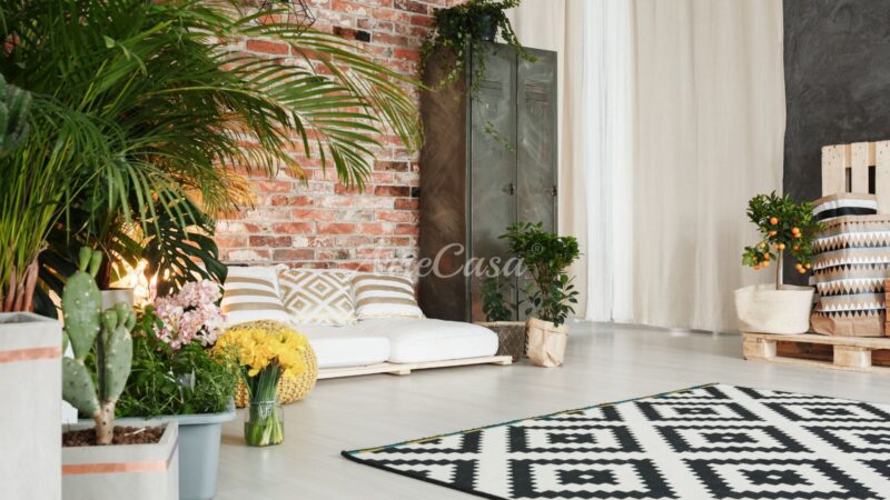 arredare con le piante